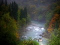 River Sava Bohinjka
