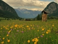 Bohinj valley