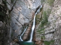SlapSavica