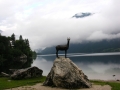 Zlatorog at Bohinj lake